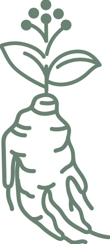 Ginseng